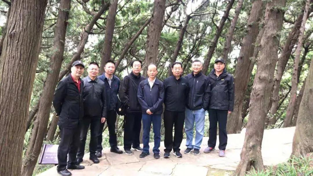 秘境之旅，探寻宁夏的未知之美