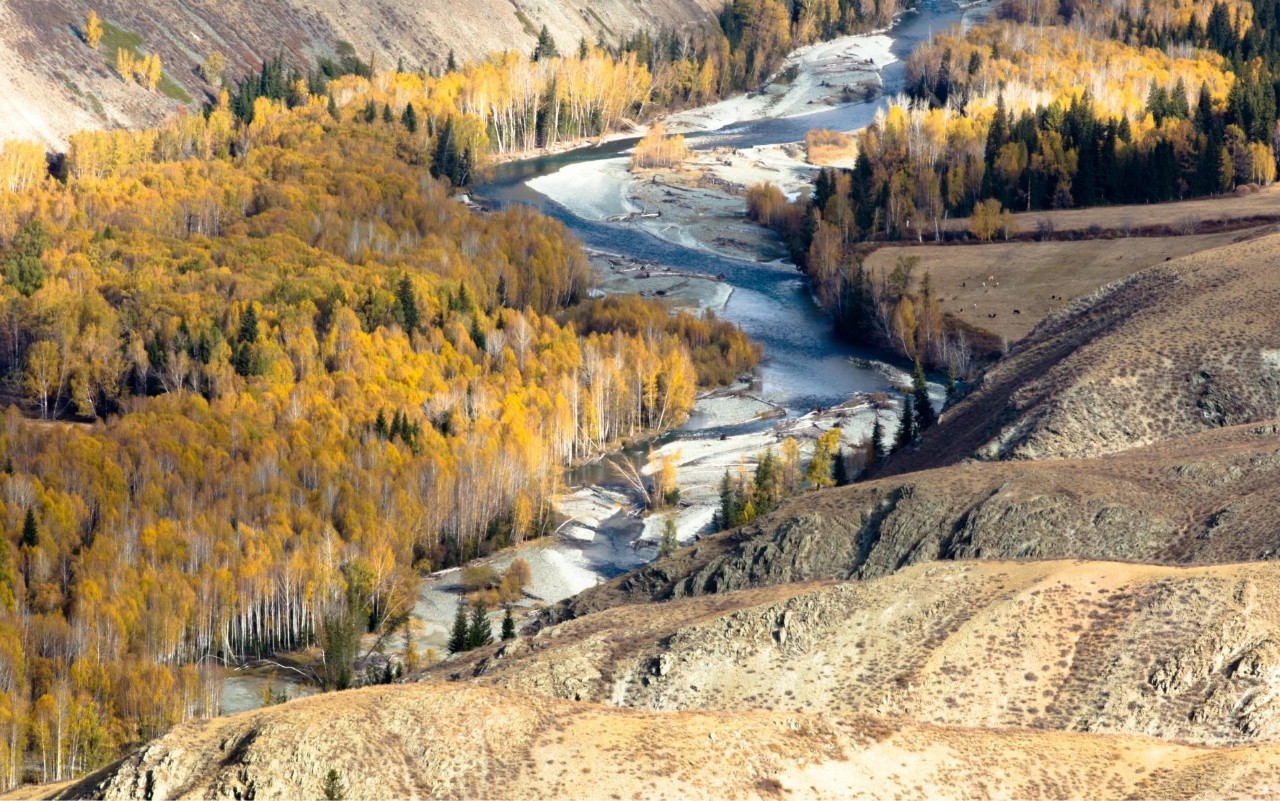 多元文化交融的边疆明珠——新疆